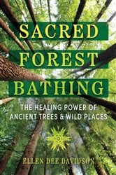 Sacred Forest Bathing | Free Book