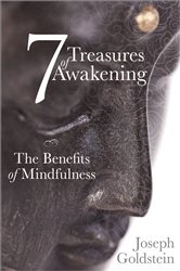 7 Treasures of Awakening | Free Book