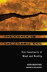 The Crack in the Cosmic Egg | Free Book