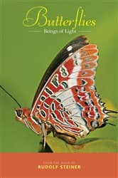 Butterflies | Free Book