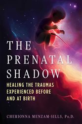 The Prenatal Shadow | Free Book