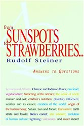 From Sunspots to Strawberries | Free Book