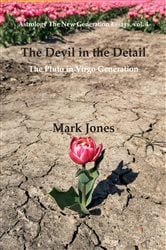 The Devil in the Detail | Free Book