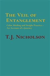 The Veil of Entanglement | Free Book