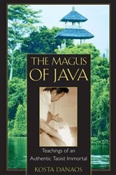 The Magus of Java | Free Book