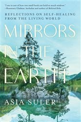 Mirrors in the Earth | Free Book