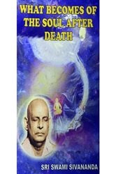 What Becomes of the Soul After Death | Free Book