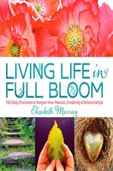 Living Life in Full Bloom | Free Book