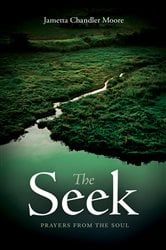 The Seek | Free Book