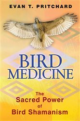 Bird Medicine | Free Book