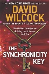 The Synchronicity Key | Free Book