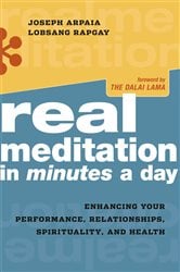 Real Meditation in Minutes a Day | Free Book