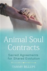 Animal Soul Contracts | Free Book