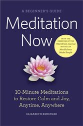 Meditation Now | Free Book