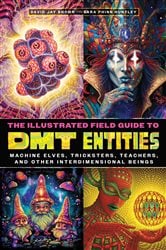 The Illustrated Field Guide to DMT Entities | Free Book