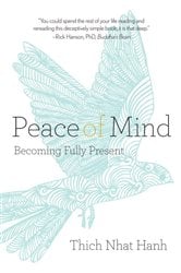 Peace of Mind | Free Book