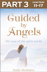 Guided By Angels: Part 3 of 3: There Are No Goodbyes, My Tour of the Spirit World | Free Book