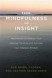 From Mindfulness to Insight | Free Book