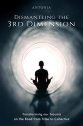 Dismantling the 3rd Dimension | Free Book