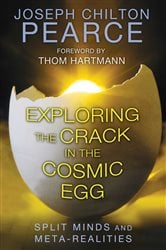 Exploring the Crack in the Cosmic Egg (6th ed.) | Free Book