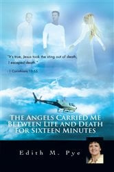 The Angels Carried Me Between Life and Death for Sixteen Minutes | Free Book