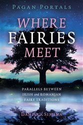 Pagan Portals - Where Fairies Meet | Free Book