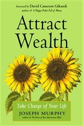 Attract Wealth | Free Book