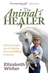 The Animal Healer | Free Book