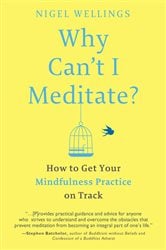 Why Can't I Meditate? | Free Book