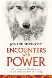 Encounters with Power | Free Book