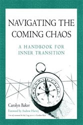 Navigating the Coming Chaos | Free Book