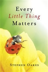 Every Little Thing Matters | Free Book