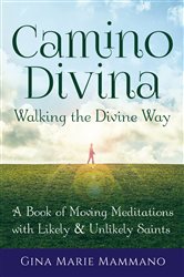 Camino Divina—Walking the Divine Way | Free Book