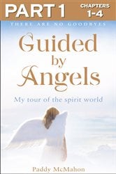 Guided By Angels: Part 1 of 3: There Are No Goodbyes, My Tour of the Spirit World | Free Book