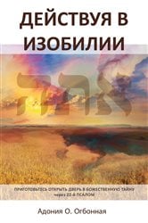 Russian Edition - Operating in Abundance | Free Book