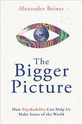 The Bigger Picture | Free Book