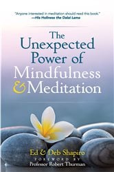 The Unexpected Power of Mindfulness and Meditation | Free Book