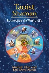 Taoist Shaman | Free Book