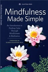 Mindfulness Made Simple | Free Book