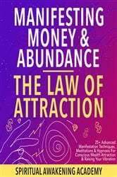 Manifesting Money & Abundance Blueprint- The Law Of Attraction | Free Book