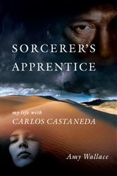 Sorcerer's Apprentice | Free Book