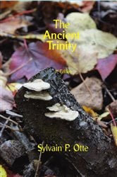 The Ancient Trinity | Free Book