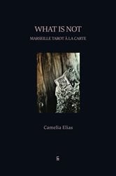 What is Not | Free Book