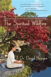 The Spiritual Wildfire | Free Book