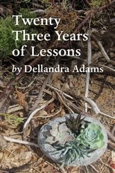 Twenty Three Years of Lessons | Free Book