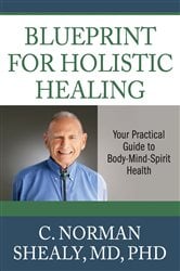 Blueprint for Holistic Healing | Free Book