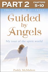 Guided By Angels: Part 2 of 3: There Are No Goodbyes, My Tour of the Spirit World | Free Book