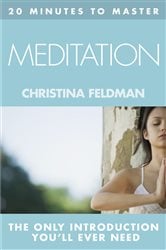 20 MINUTES TO MASTER … MEDITATION | Free Book