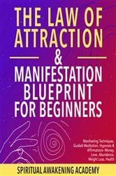 The Law Of Attraction & Manifestation Blueprint For Beginners | Free Book