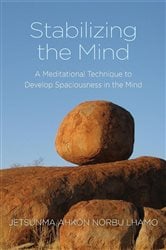 Stabilizing the Mind | Free Book